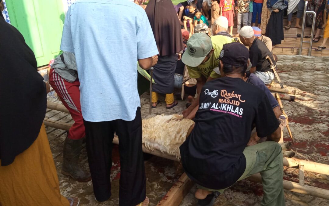 Kegiatan Qurban Idul Adha 1446 H di Lingkungan Desa Mandala Kecamatan Cimanggu